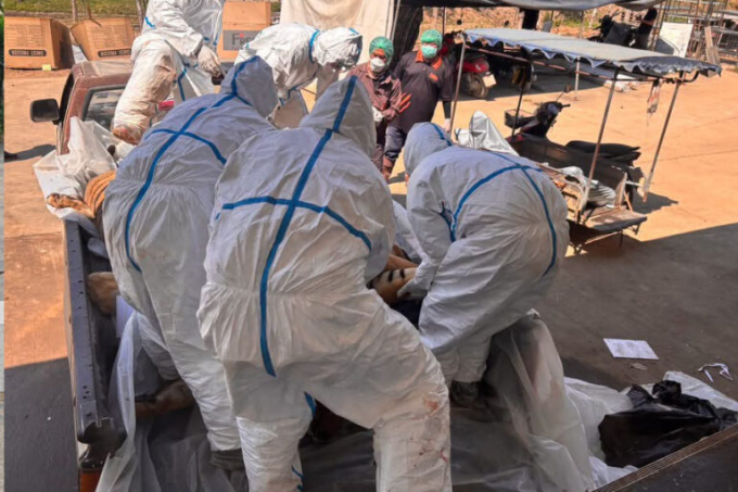 Nhiều nhân viên được huy động để di chuyển các cá thể hổ do kích thước lớn.