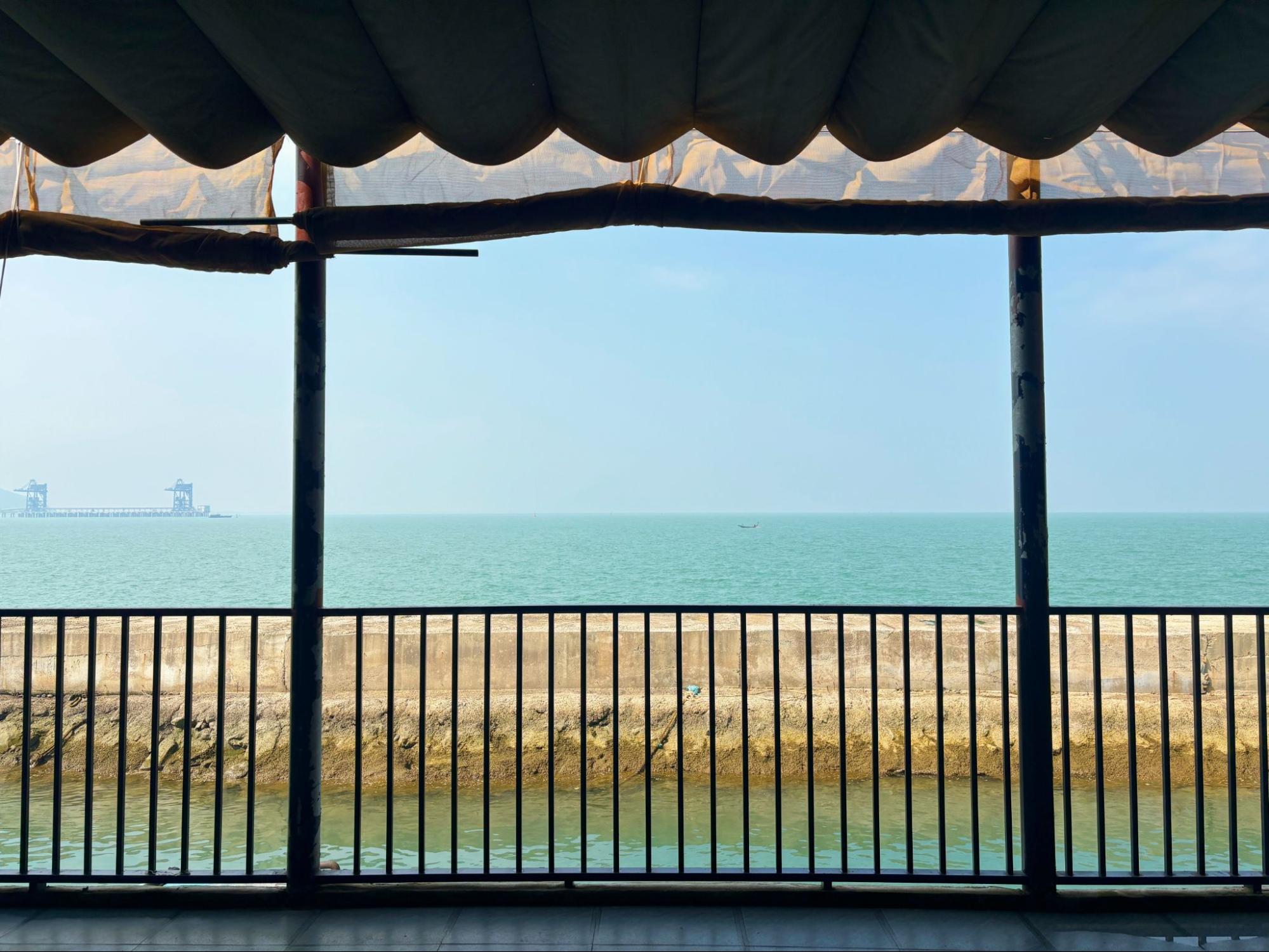 Du Xuân dọc miền biển: Ghé Vũng Áng ăn mực nhảy - đệ nhất gỏi của giới sành ăn- Ảnh 6.