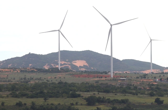 Vướng sai phạm, 19 dự án điện gió, điện mặt trời ở Lâm Đồng chưa có lối ra - Ảnh 2.