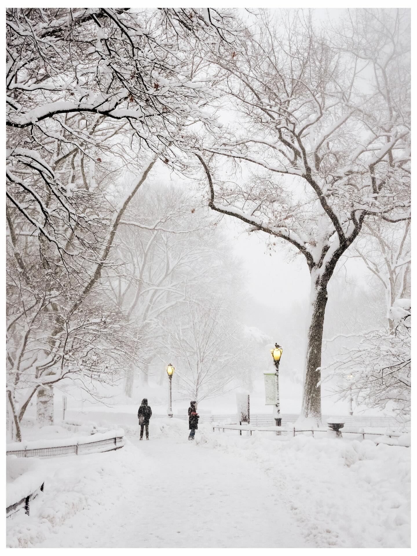 Phía sau khung cảnh New York trắng xóa như cổ tích những ngày này- Ảnh 2. Phía sau khung cảnh New York trắng xóa như cổ tích những ngày này- Ảnh 2.