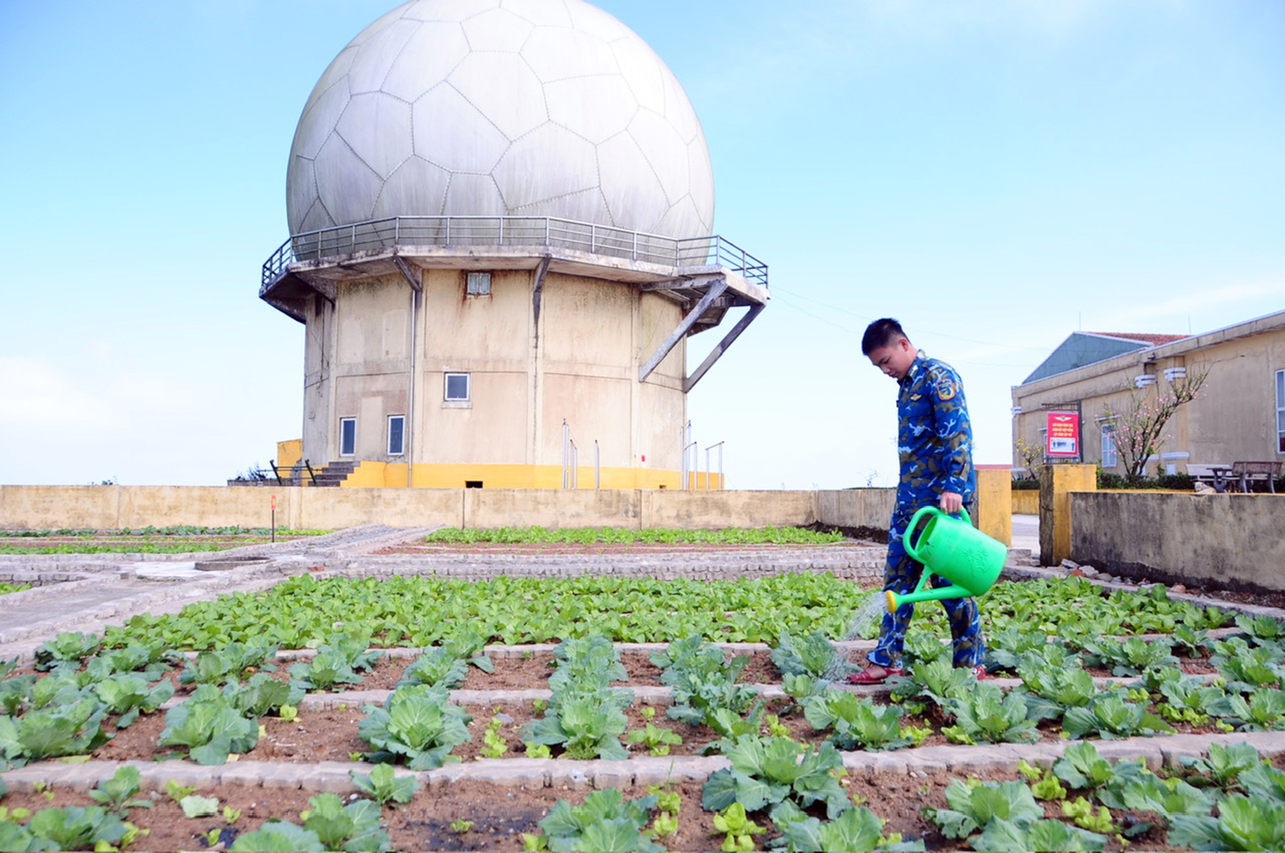 đông dương - Ảnh 2.