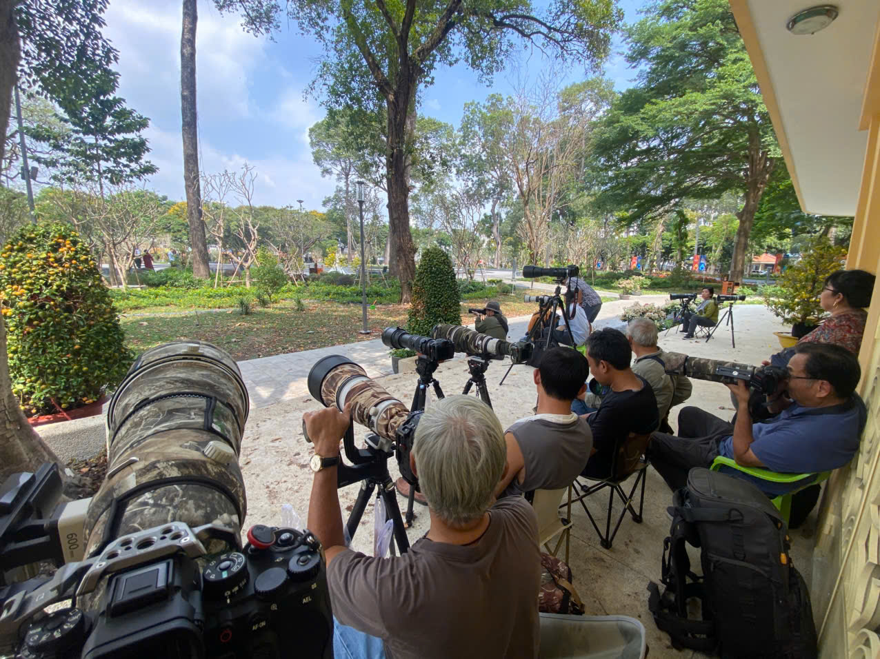 Hồng tước, Hoàng tước, Họa mi về Công viên Tưởng niệm nạn nhân COVID-19 17 hồng tước - Ảnh 17.