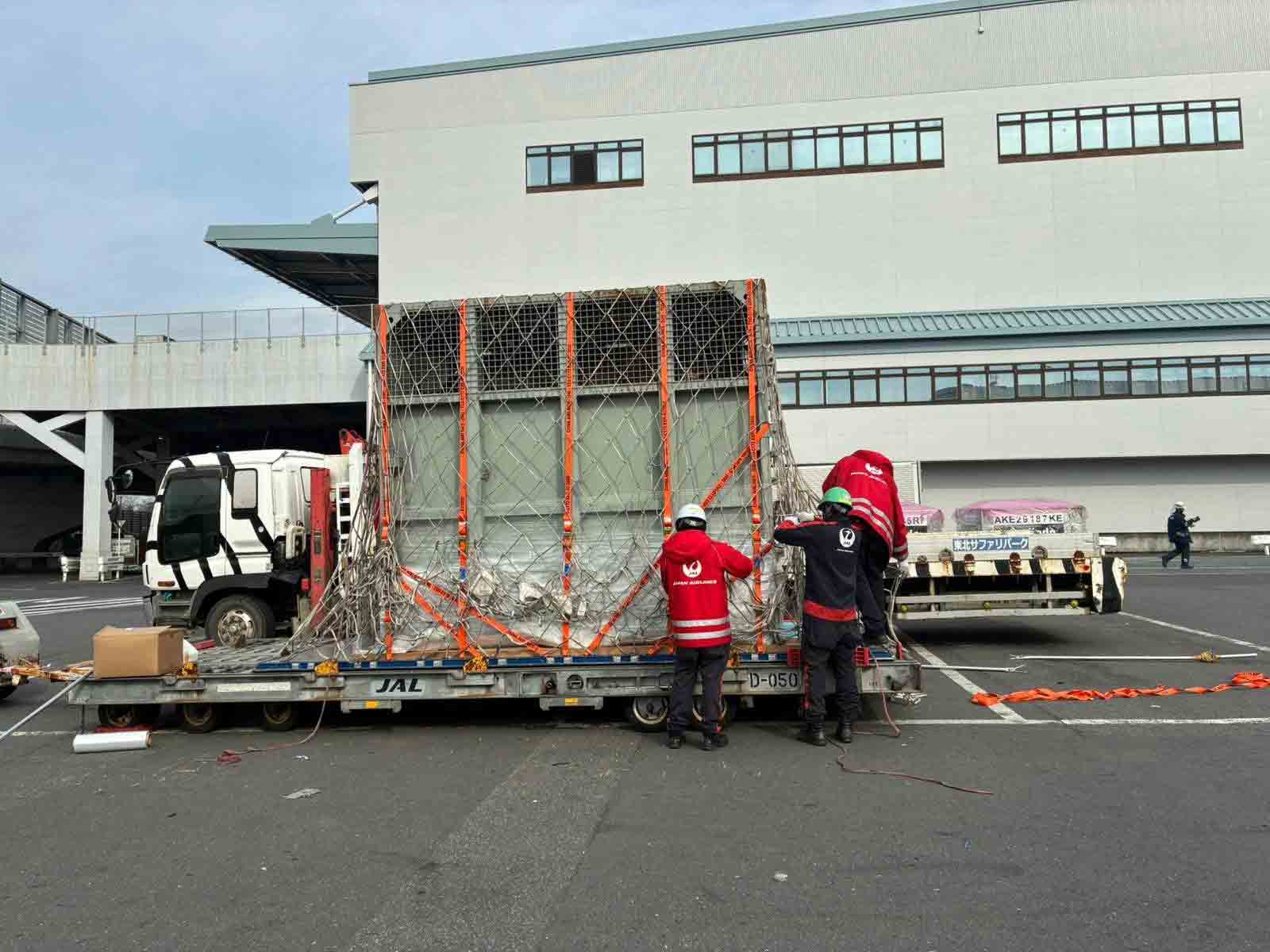 Chuyến hồi hương 'chưa từng có' của cá thể voi Lào- Ảnh 2.