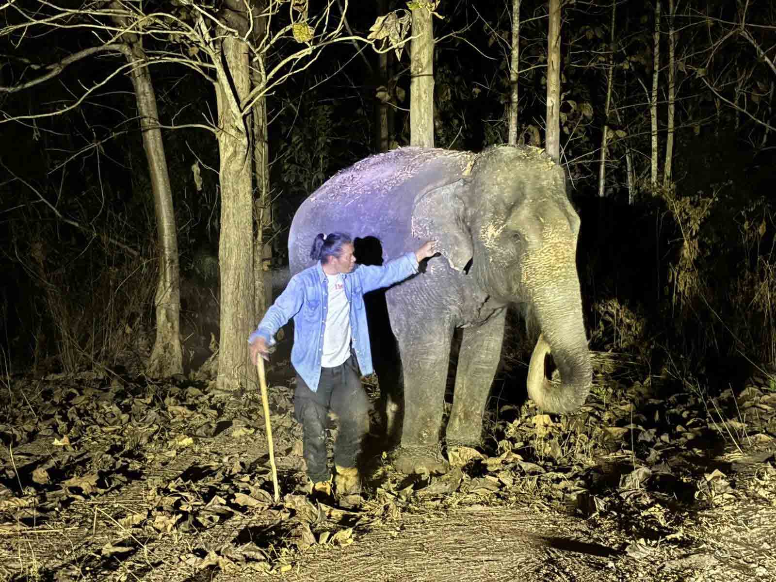 Chuyến hồi hương 'chưa từng có' của cá thể voi Lào- Ảnh 3.