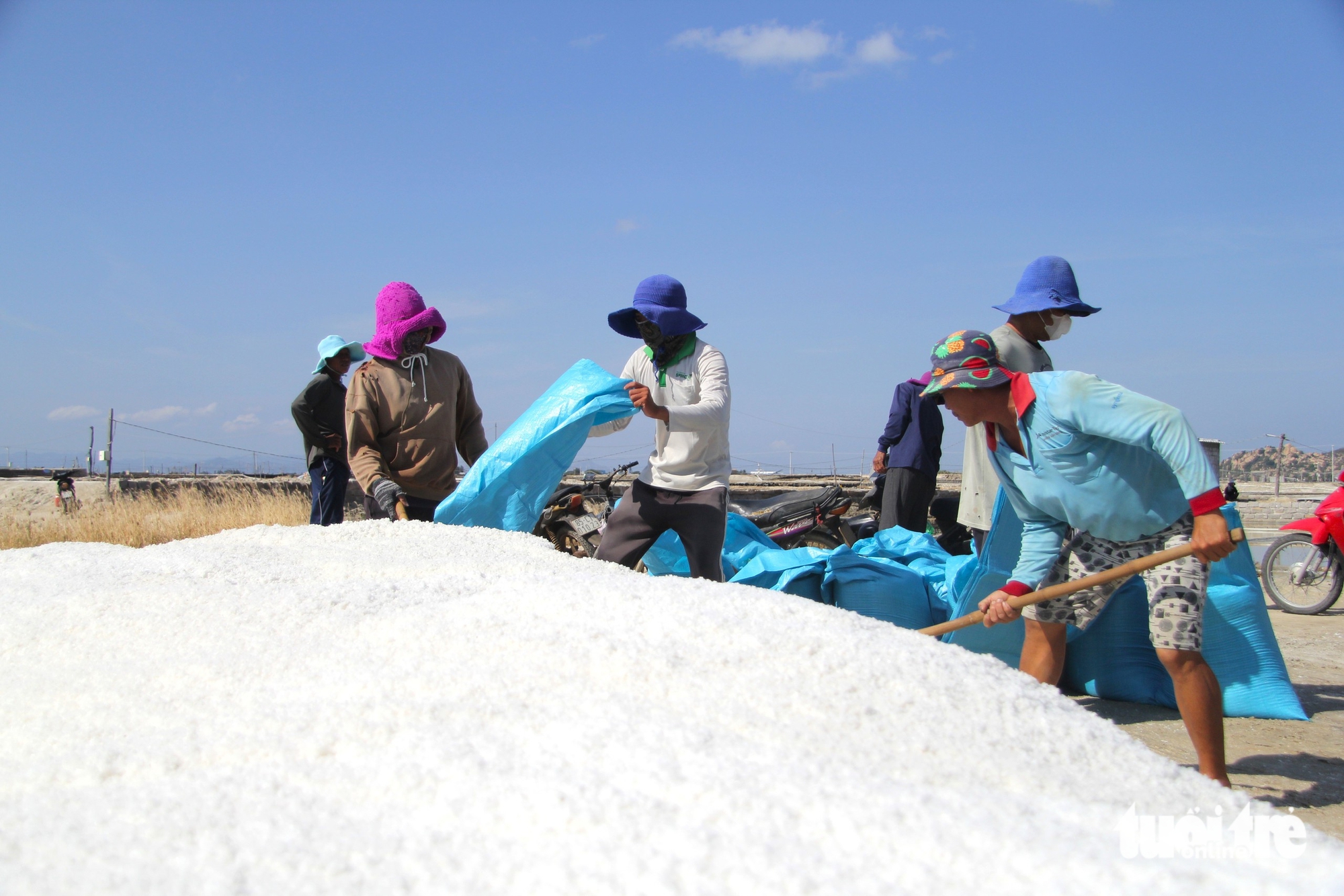 Diêm dân Ninh Thuận cũ vui khi muối được mùa được giá - Ảnh 3.