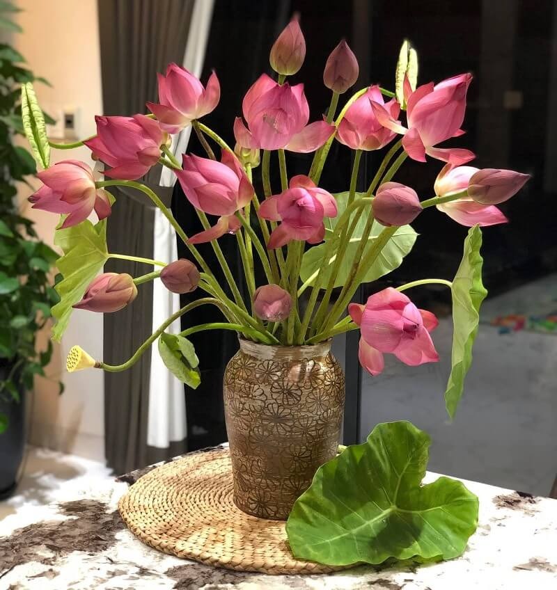 Bàn thờ Thần Tài: 4 loại hoa NÊN cúng, 3 loại phải NÉ xa- Ảnh 4. Bàn thờ Thần Tài: 4 loại hoa NÊN cúng, 3 loại phải NÉ xa- Ảnh 4.