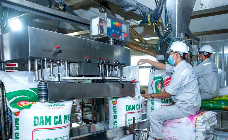 nghị quyết - Ảnh 3.