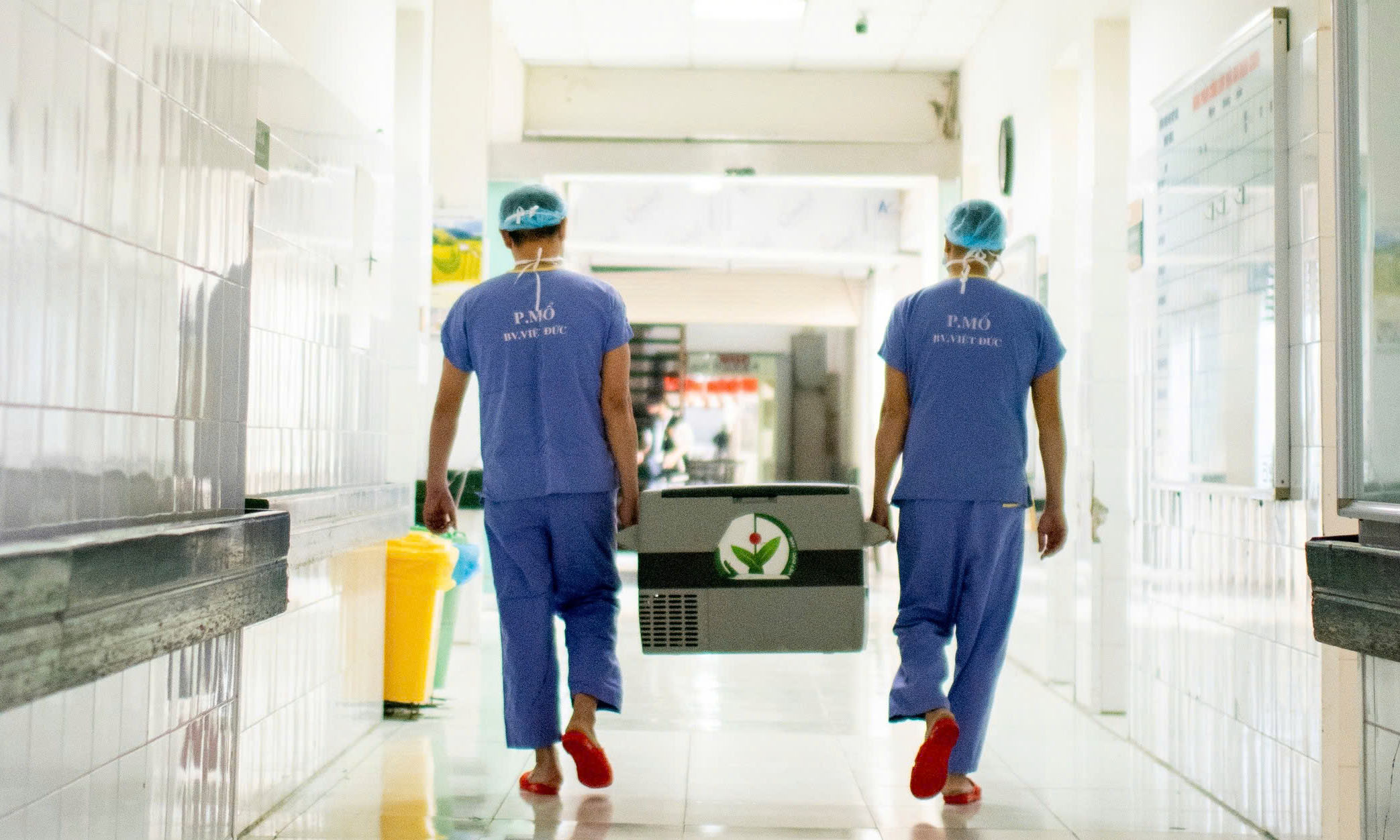 ghép tạng - Ảnh 2.