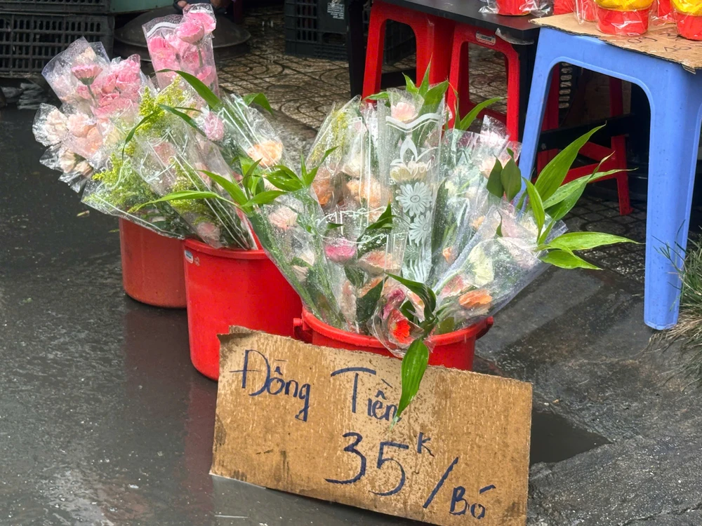 Hoa đồng tiền bán theo bó từ 35.000 đồng, bó có kèm cây phát tài. Ảnh: THU HÀ HOA-DONG-TIEN_VIA.jpg