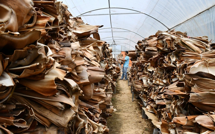 Chén, đĩa được làm từ mo cau - Ảnh 2.