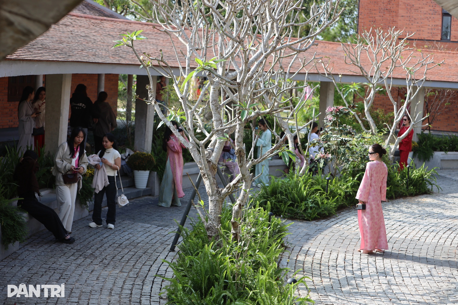 Ngôi chùa có kiến trúc độc đáo và ngôi mộ cổ không rõ lai lịch - 10