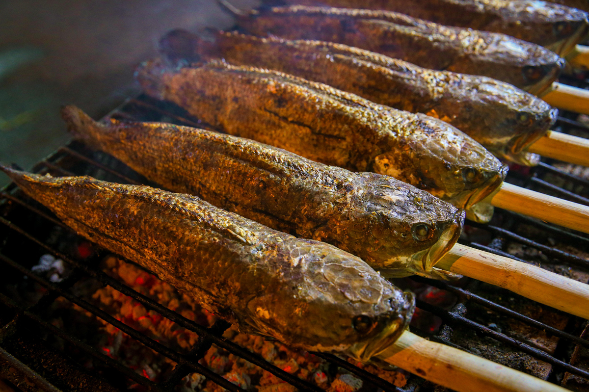 Vì sao cá lóc xuất hiện trên mâm cúng Thần Tài?- Ảnh 2.