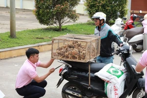 C.P. Việt Nam tặng 20.000 con gà giống và thức ăn chăn nuôi giúp dân sau bão lũ