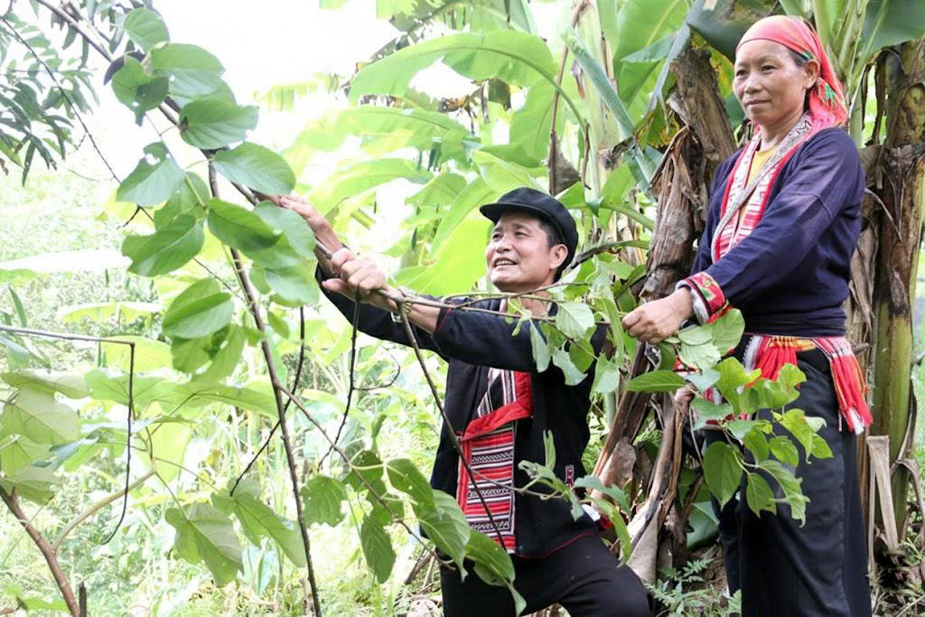 Giữ 'hồn' núi rừng trên giấy bản 2 Giữ 'hồn' núi rừng trên giấy bản - Ảnh 2.