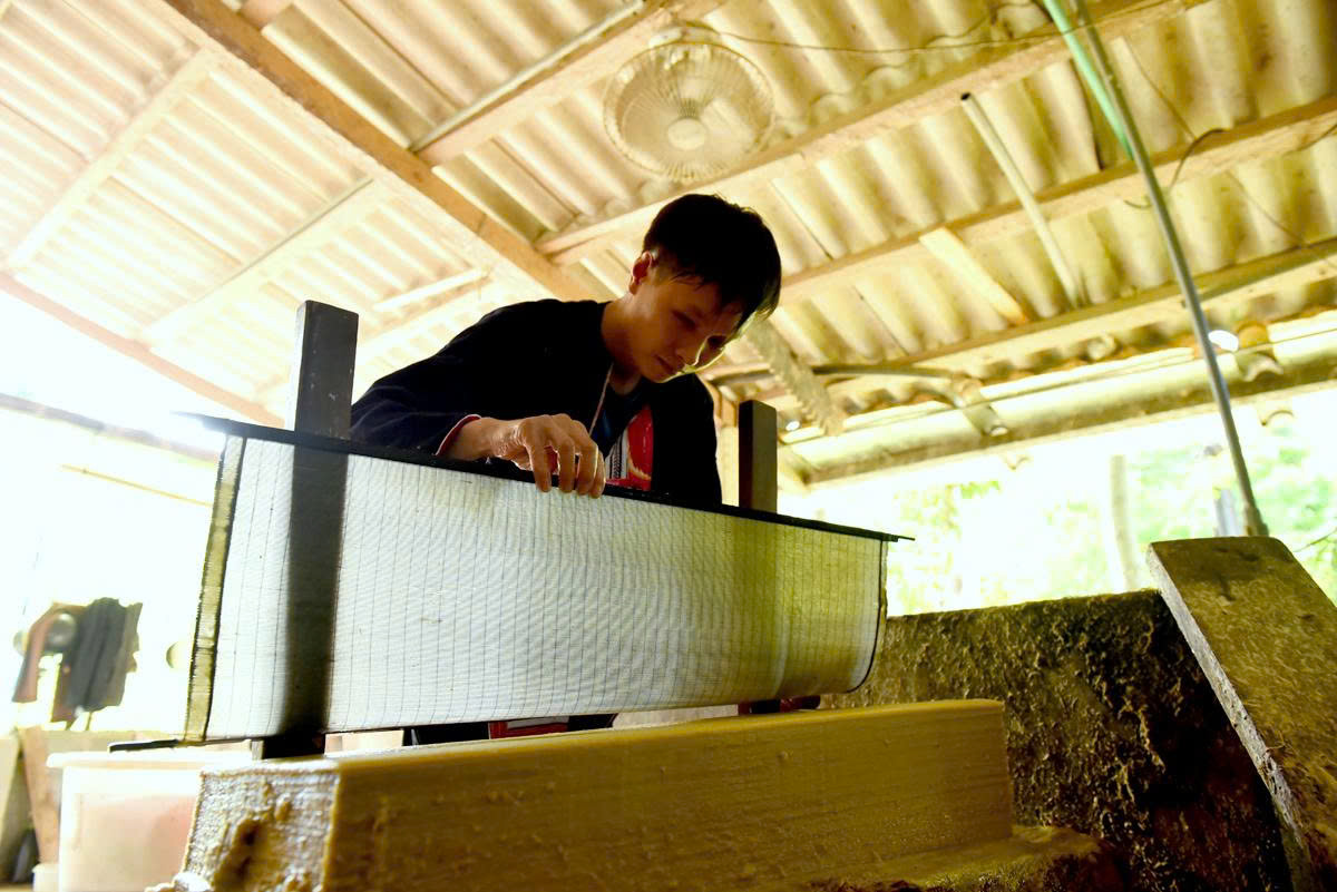 Giữ 'hồn' núi rừng trên giấy bản 3 Giữ 'hồn' núi rừng trên giấy bản - Ảnh 3.