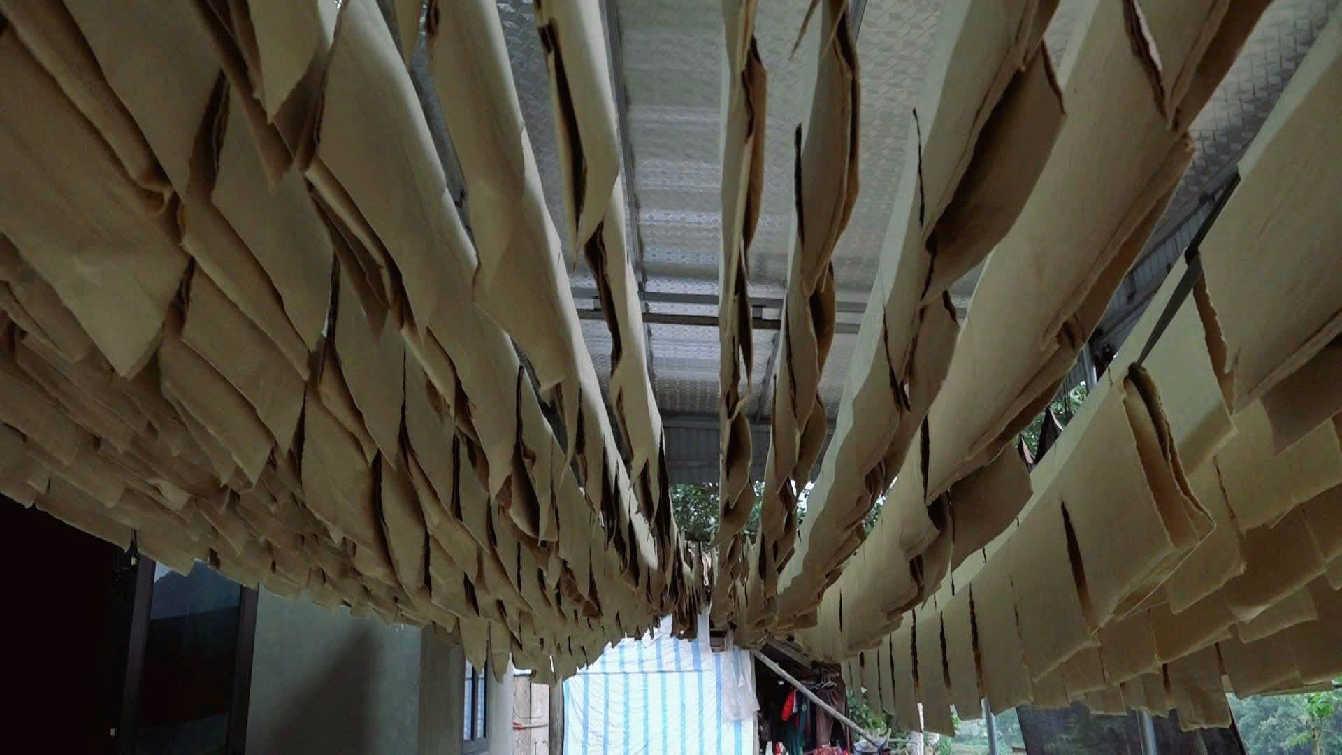 Giữ 'hồn' núi rừng trên giấy bản 4 Giữ 'hồn' núi rừng trên giấy bản - Ảnh 4.