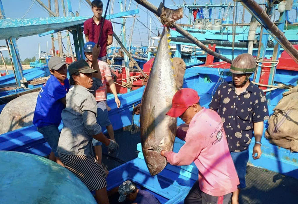 Quyết liệt gỡ 'thẻ vàng' IUU- Ảnh 2. Quyết liệt gỡ 'thẻ vàng' IUU- Ảnh 2.