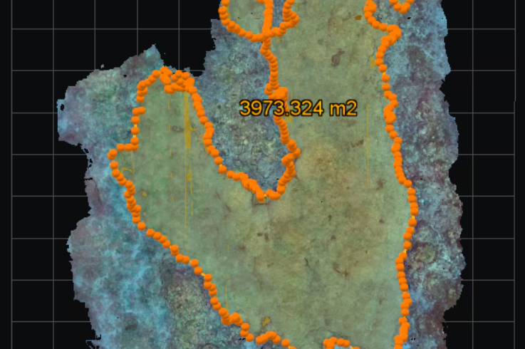 Phát hiện rạn san hô 'khủng' gần 4.000m² tại Great Barrier - Ảnh 6. san hô - Ảnh 5.