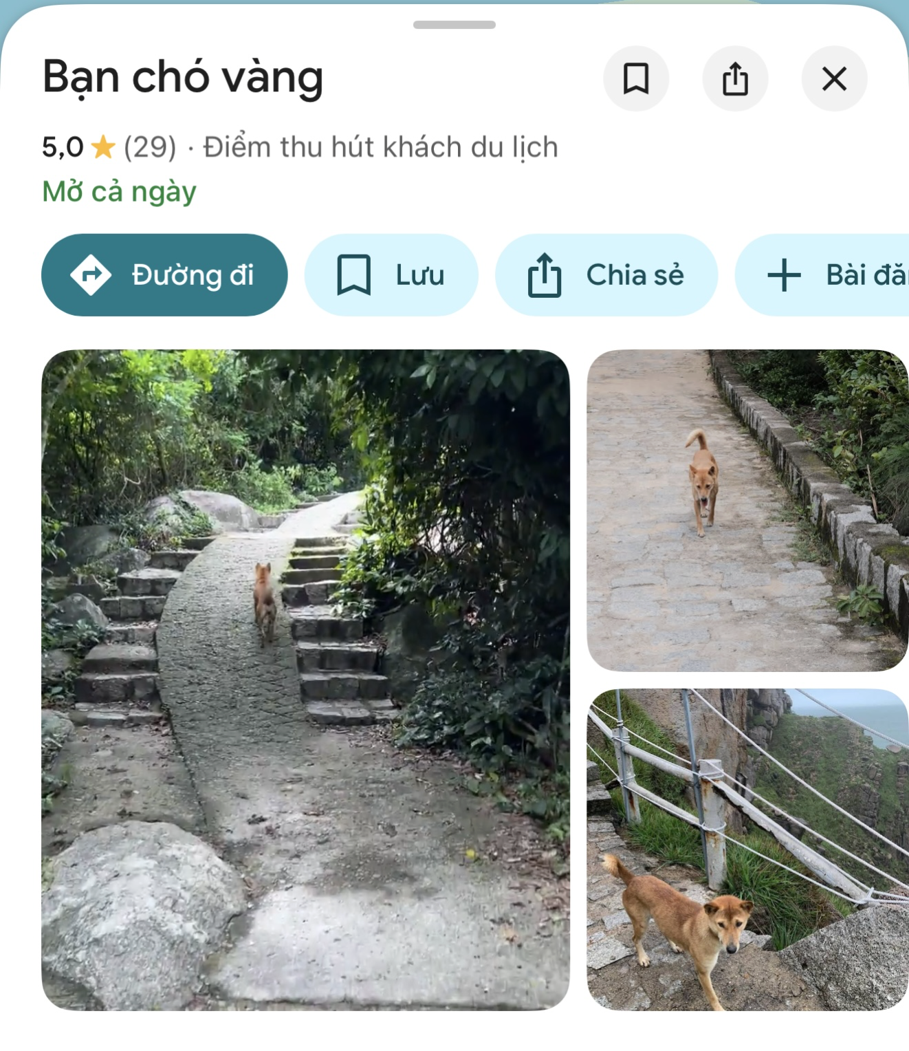 Bị bóc phốt thái độ chảnh chọe nhưng 