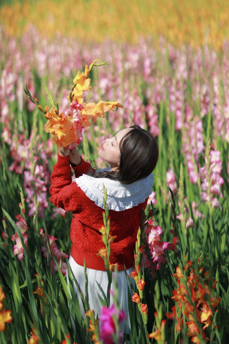 Đồng lay ơn nở muộn trở thành điểm check-in hot 'không ngờ' - 3