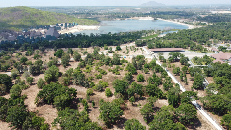 Lâm Đồng đề nghị 'gỡ khó' cho dự án rừng dầu Hồng Liêm, sân golf Đồi Cù - Ảnh 3.