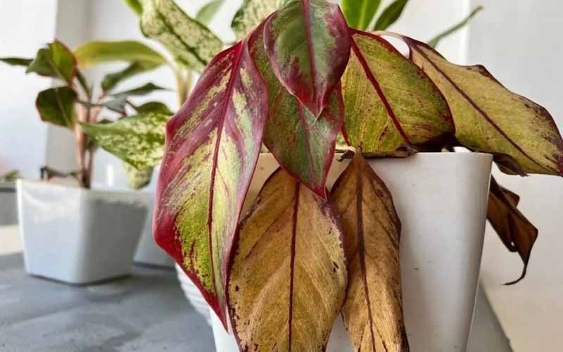 7 dấu hiệu nhận biết ngôi nhà 7 dấu hiệu nhận biết ngôi nhà