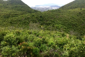 Chủ tịch UBND tỉnh Khánh Hòa: Phải thi hành 25 bản án hành chính còn tồn đọng trước ngày 31-3