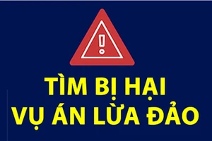 Lợi dụng danh nghĩa giám đốc kinh doanh để lừa huy động vốn rồi tiêu xài cá nhân