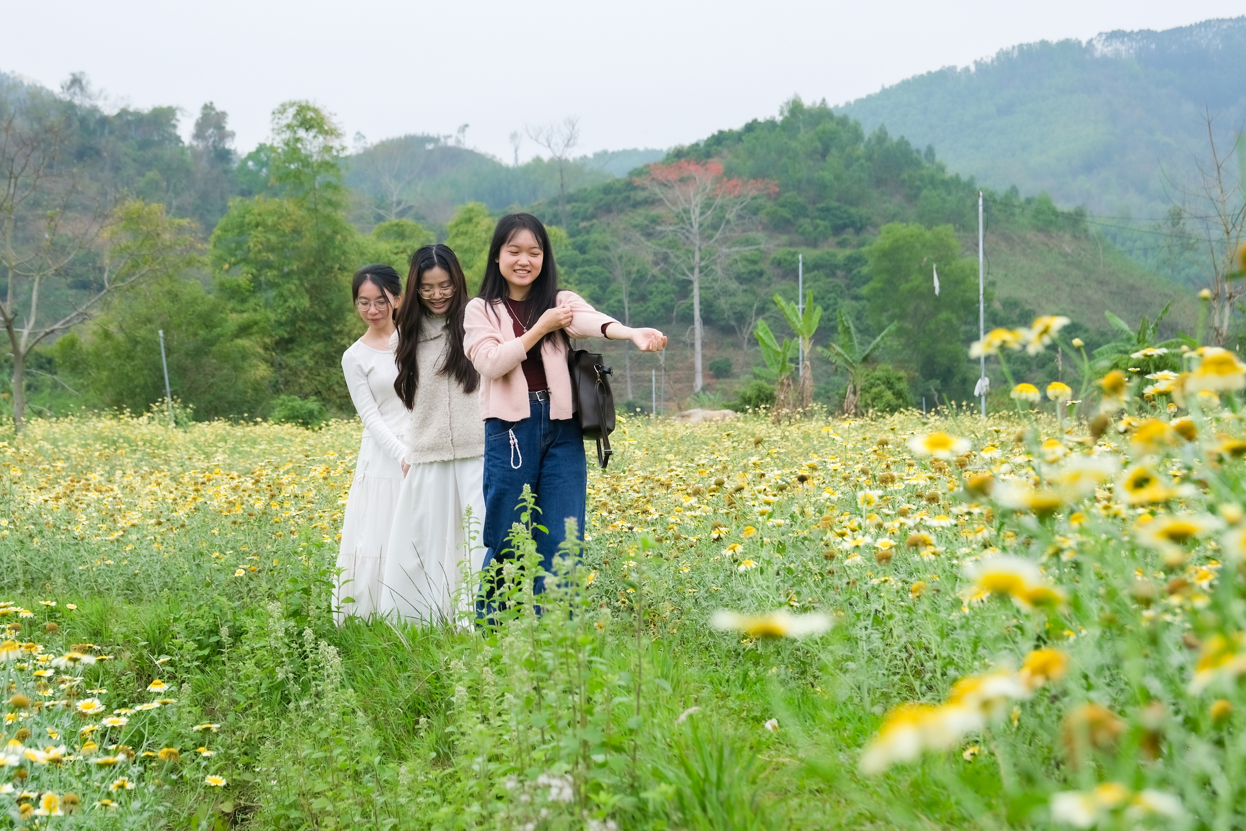 Lạc bước giữa bản Bắc Hoa vàng rực mùa cải cúc 2 Bắc Hoa - Ảnh 3.