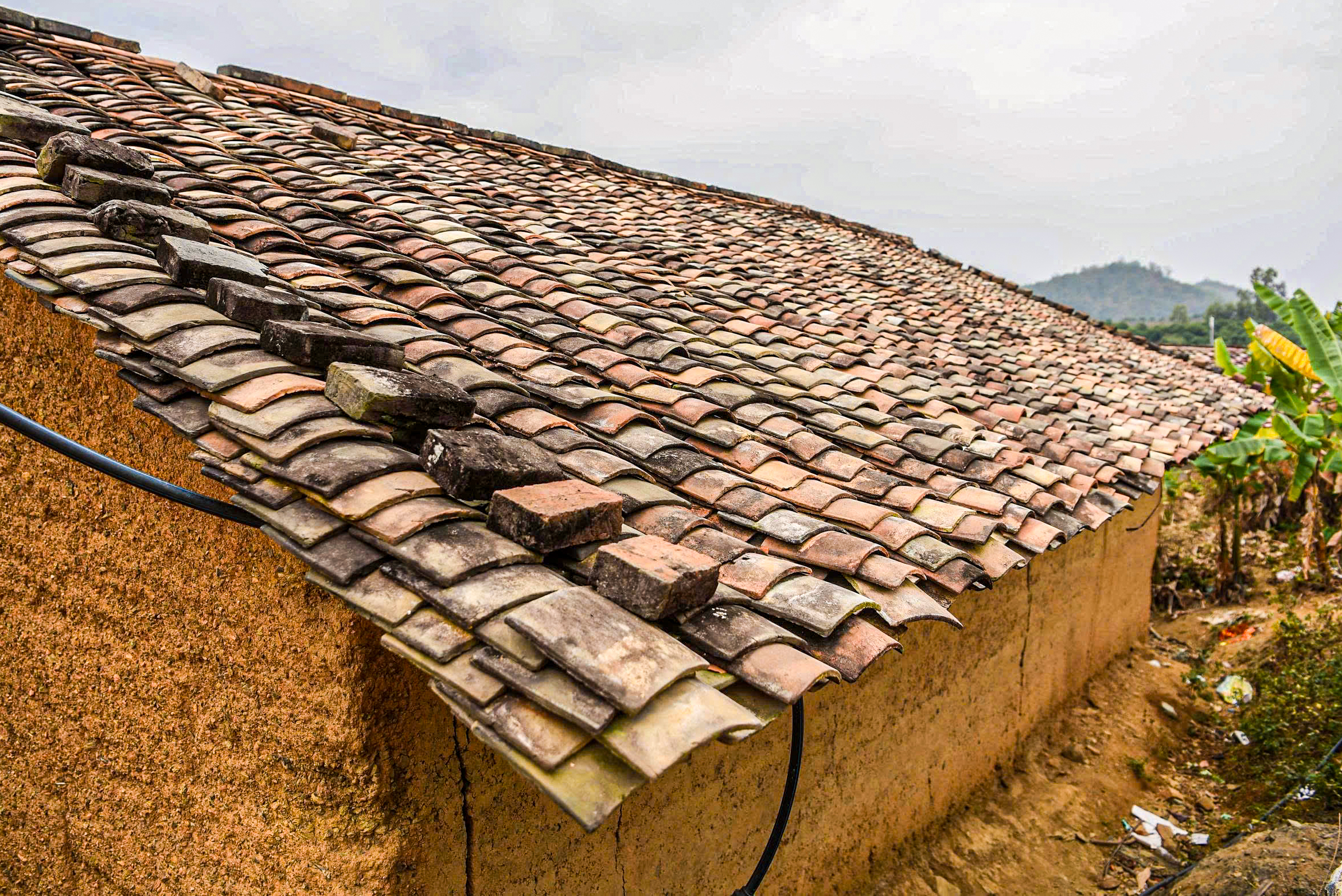 Lạc bước giữa bản Bắc Hoa trong biển hoa cải vàng - Ảnh 8. Bắc Hoa - Ảnh 6.