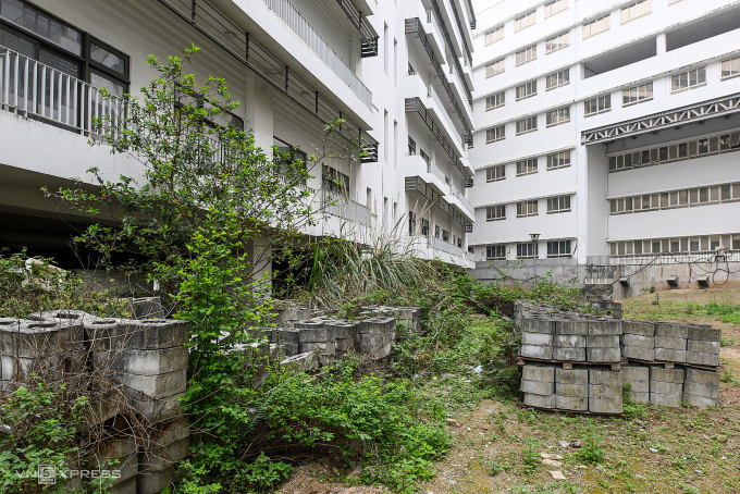 Nhiều hạng mục ở bệnh viện Bạch Mai cơ sở 2 bỏ hoang, cỏ mọc um tùm. Ảnh: Giang Huy