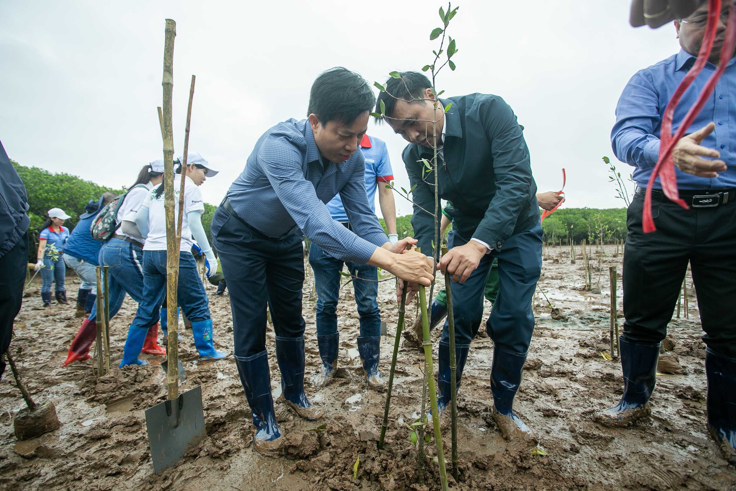 Mỗi cánh rừng được gây dựng là thêm một lớp phòng tuyến tự nhiên trước thiên tai 4 Mỗi cánh rừng được gây dựng là thêm một lớp phòng tuyến tự nhiên trước thiên tai - Ảnh 5.