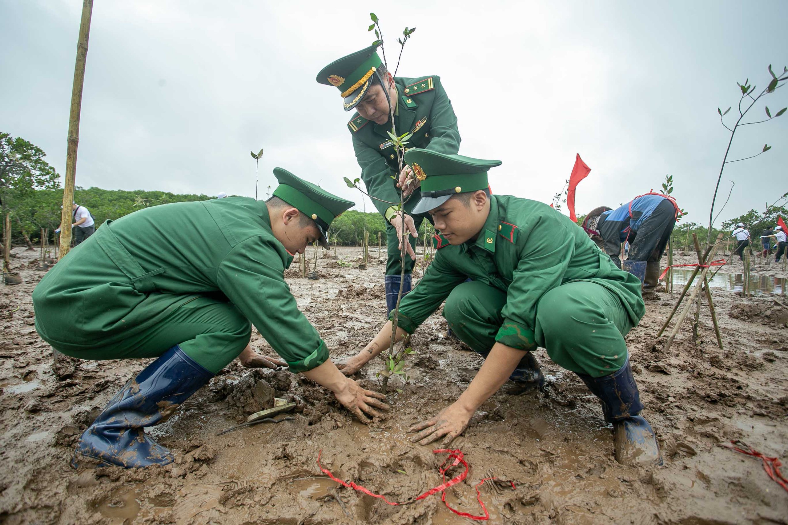 Mỗi cánh rừng được gây dựng là thêm một lớp phòng tuyến tự nhiên trước thiên tai 6 khu bảo tồn - Ảnh 6.
