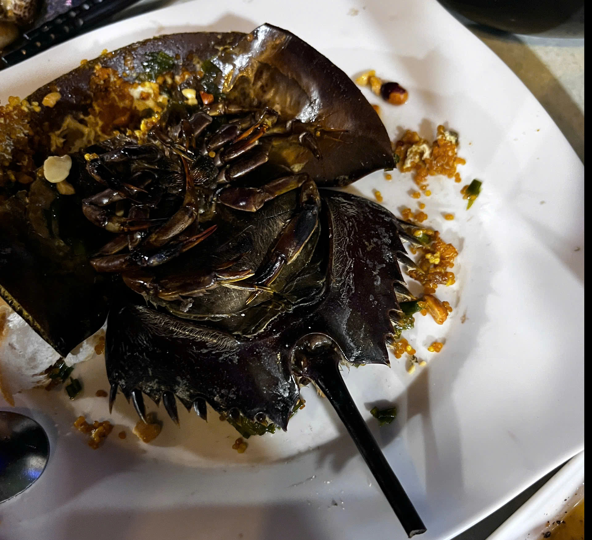 Cà Mau: Ba ca nhập viện nghi ngộ độc, một quán ốc bị tạm dừng hoạt động - Ảnh 1.