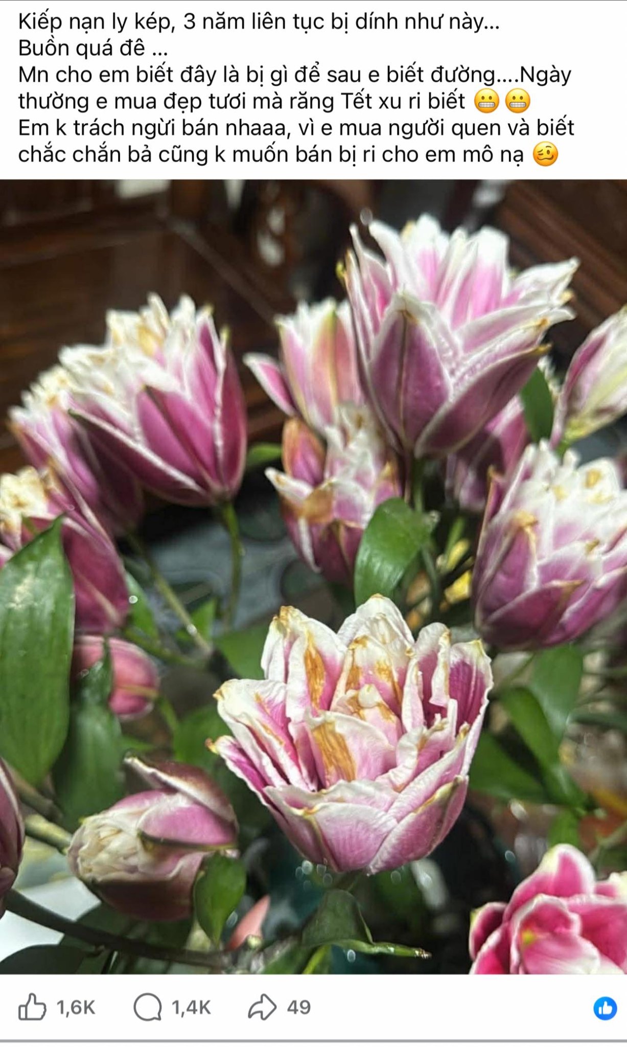 3 nam deu bi chay canh tit ngoi hoi chi