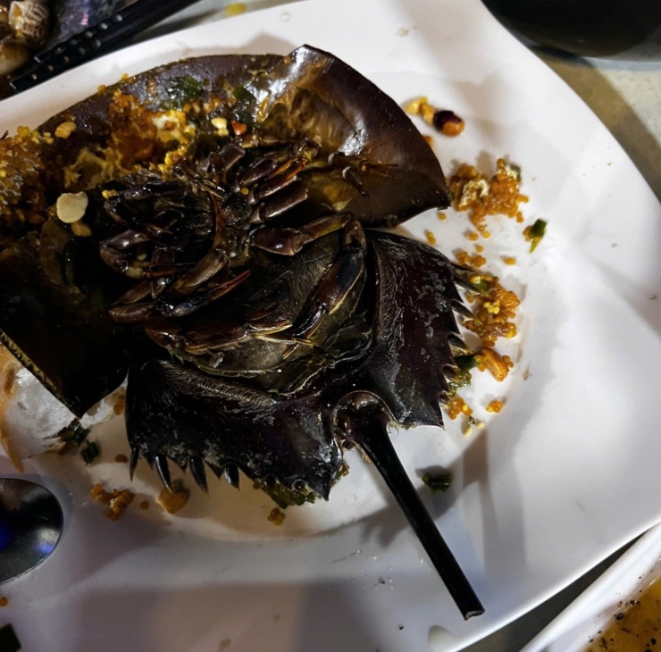 3 bệnh nhân nghi ngộ độc sau khi ăn con sam tại quán ốc ở Cà Mau.