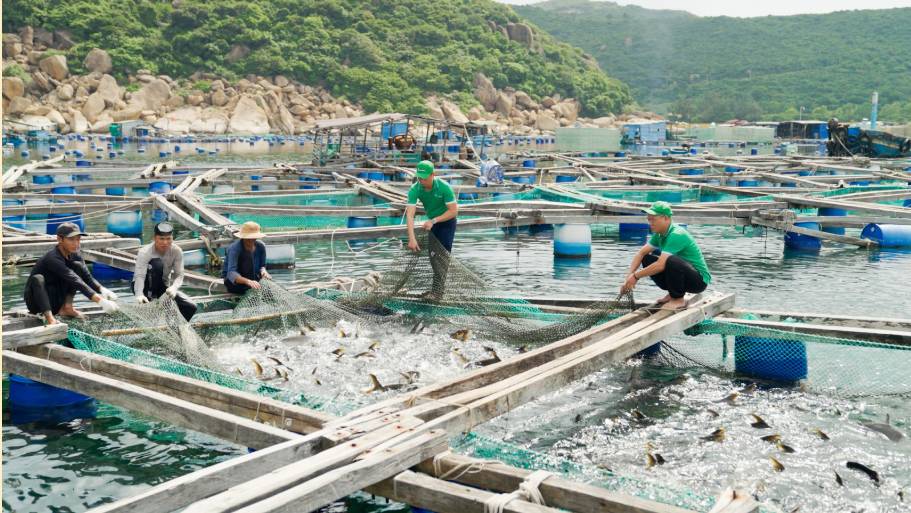 3 trụ cột chiến lược KLC Group xác định để song hành cùng phát triển đất nước, hiện thực hóa khát vọng toàn cầu- Ảnh 1. 3 trụ cột chiến lược KLC Group xác định để song hành cùng phát triển đất nước, hiện thực hóa khát vọng toàn cầu- Ảnh 1.