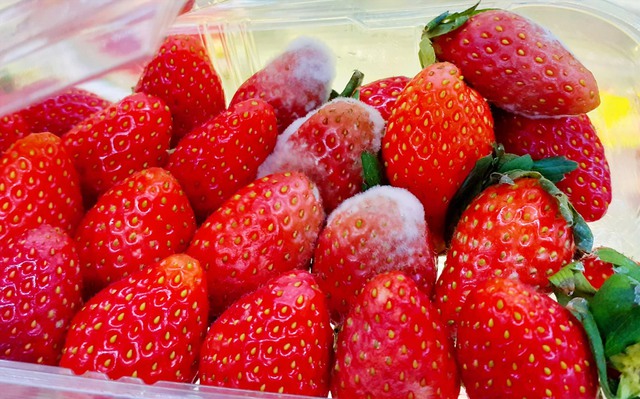 5 thói quen trong bếp khiến độc tố âm thầm tích tụ trong cơ thể, nhiều gia đình Việt đang mắc phải mà không hay biết 1 5 thói quen trong bếp khiến độc tố âm thầm tích tụ trong cơ thể, nhiều gia đình Việt đang mắc phải mà không hay biết - 1