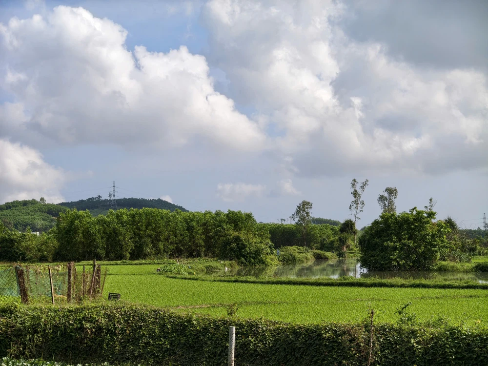 Án lệ về xác định tài sản chung của vợ chồng trước khi đăng ký kết hôn. Ảnh minh họa/YC an-le-nuoc-ngoai.jpg