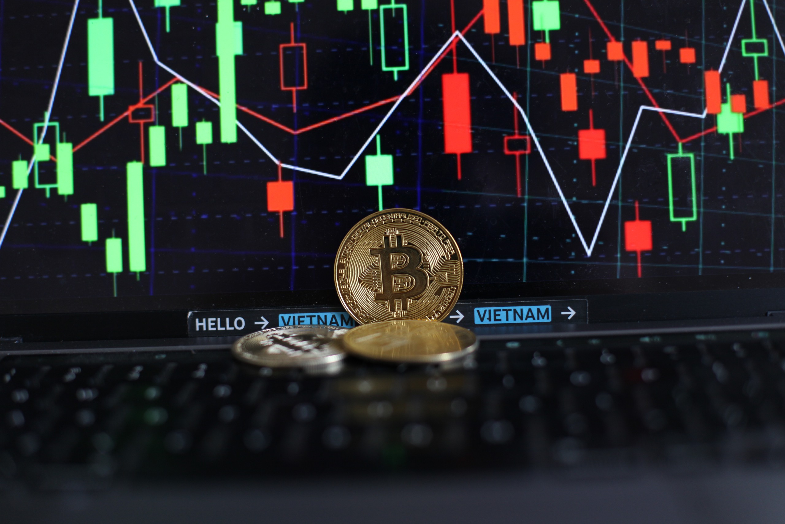 Giá Bitcoin hôm nay 8.2.2026: BTC thủng đáy, cú sập lịch sử bắt nguồn từ châu Á? - Ảnh 1.