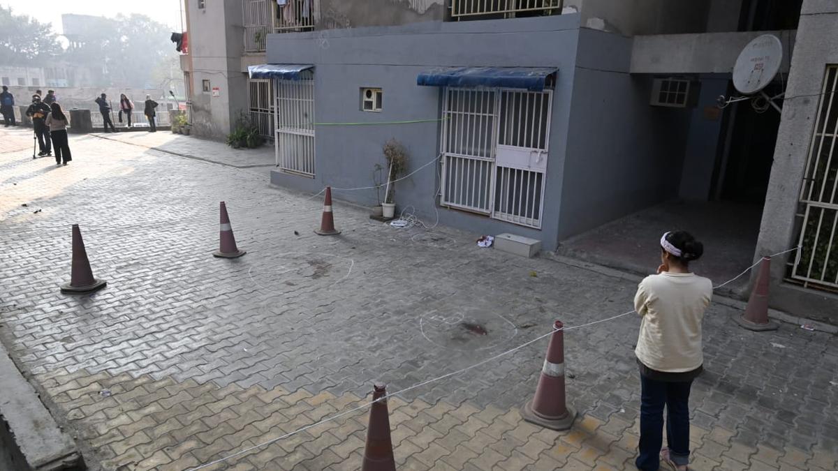 Ấn Độ - Ảnh 1.