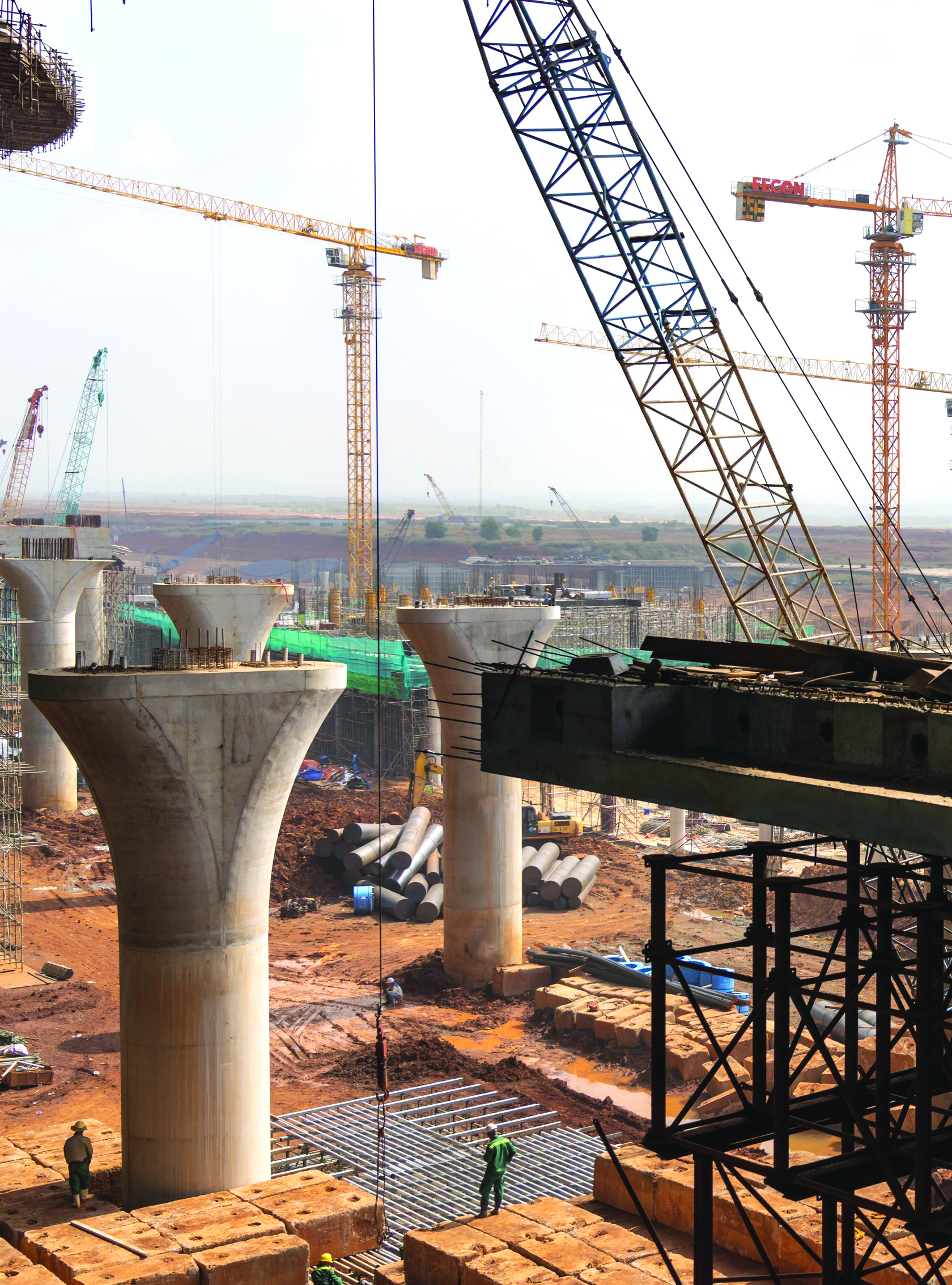 Long Thành - Ảnh 2.