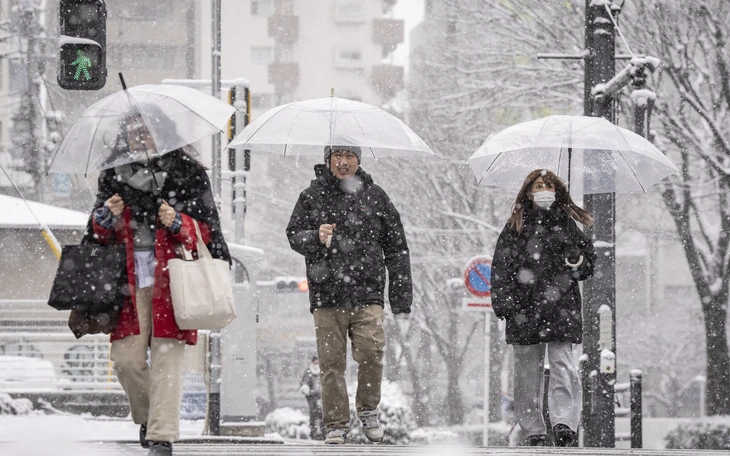 3 hiện tượng 'hợp sức' gây bão tuyết 'quái vật' tấn công bờ Đông Mỹ - Ảnh 5.