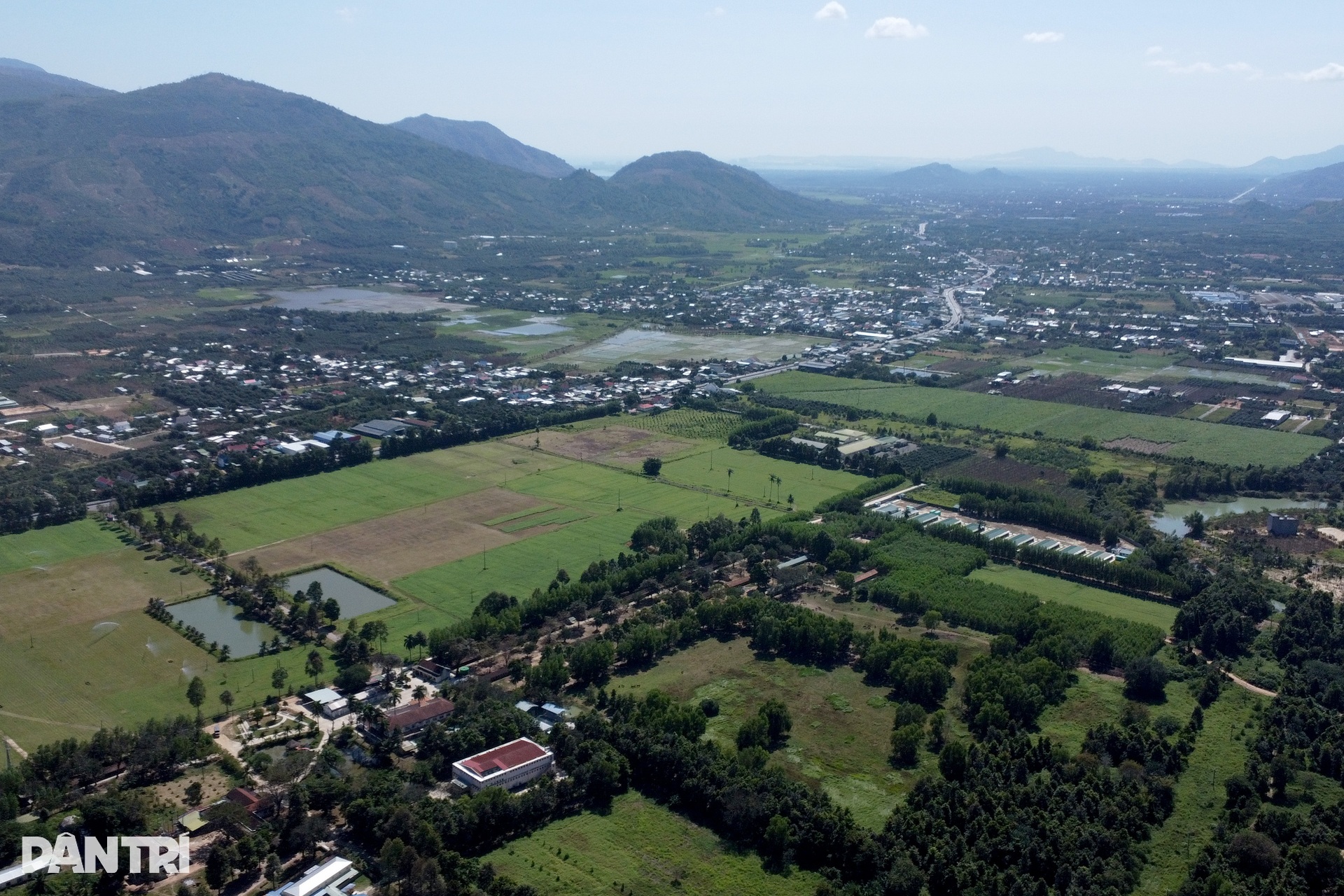 Bên trong trại chiến binh ngựa duy nhất ở Việt Nam mang sứ mệnh cứu người - 1