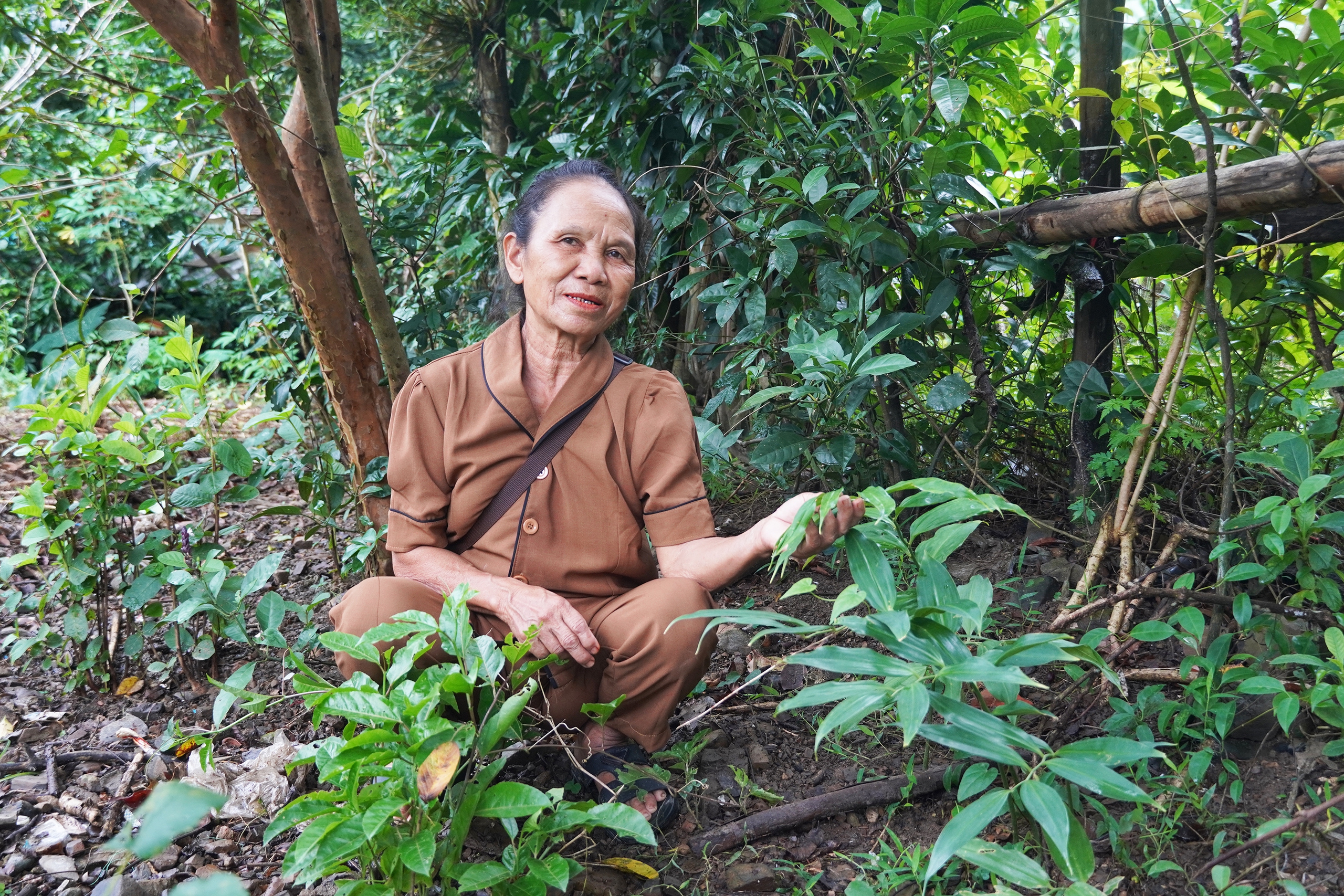 Bí ẩn người Rục: Hành trình từ hang đá đến Báo vàng Locarno - Ảnh 2.