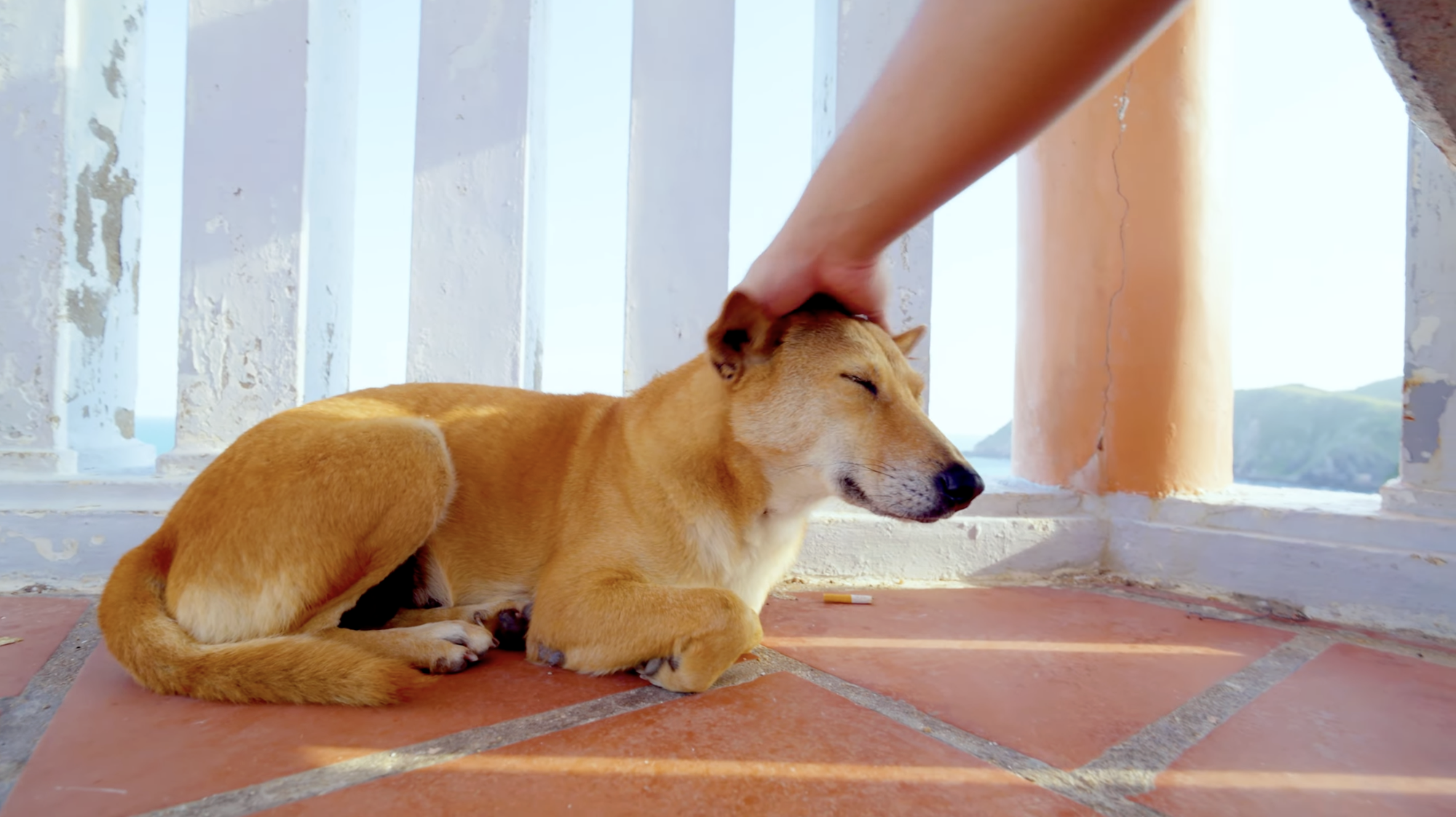 Bị bóc phốt thái độ chảnh chọe nhưng 