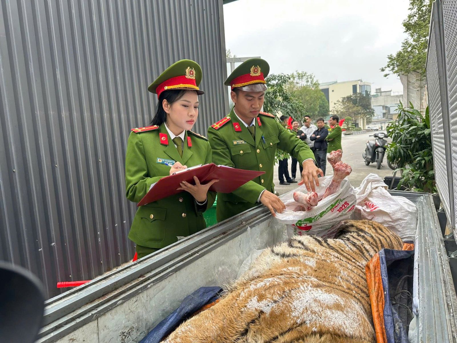 Phát hiện 2 cá thể hổ cấp đông trong hầm một ngôi nhà ở Thanh Hóa: Bí mật sau cánh cửa sắt khiến nhiều người rùng mình- Ảnh 1.