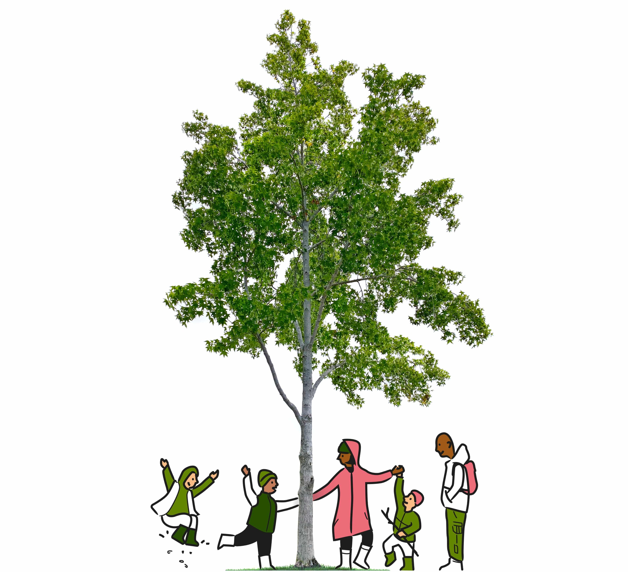 Bí quyết để hạnh phúc trong năm 2026? Nó đơn giản hơn bạn nghĩ rất nhiều...- Ảnh 1.