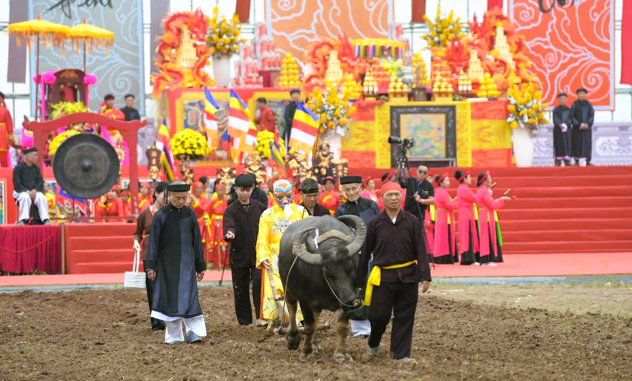 Bí thư Ninh Bình xuống đồng đi cày ở lễ hội Tịch điền 2026 1 Bí thư Ninh Bình xuống đồng đi cày ở lễ hội Tịch điền 2026 - Ảnh 1.