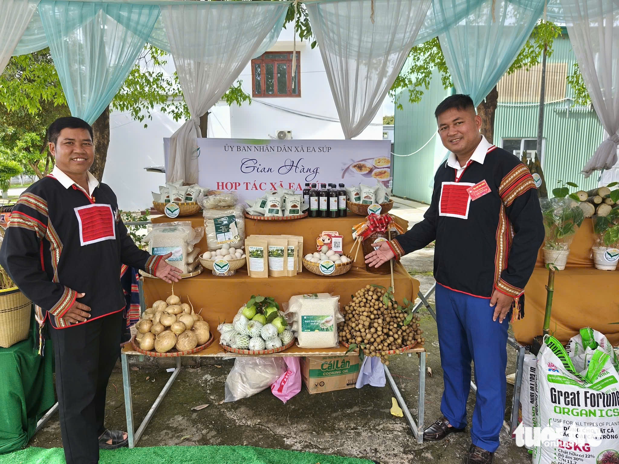 Bí thư chi bộ - Ảnh 1.